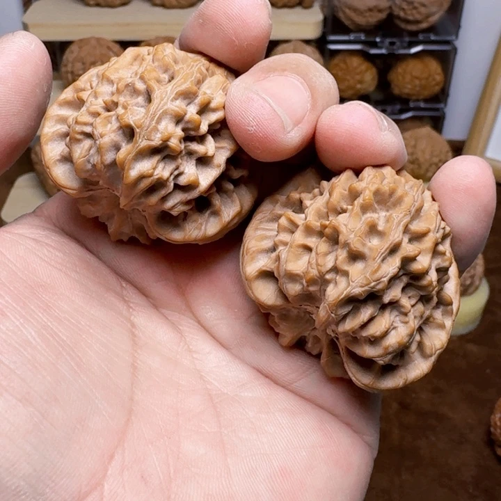 南瓜墩手把件麻核桃45边肚高同尺