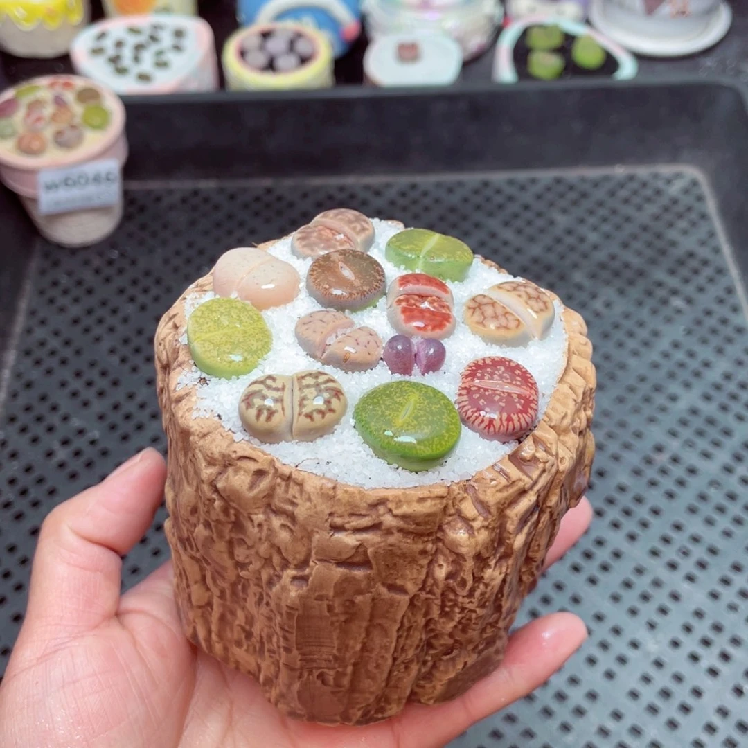 w6048 -零下地区拍保温箱-15支持寄养