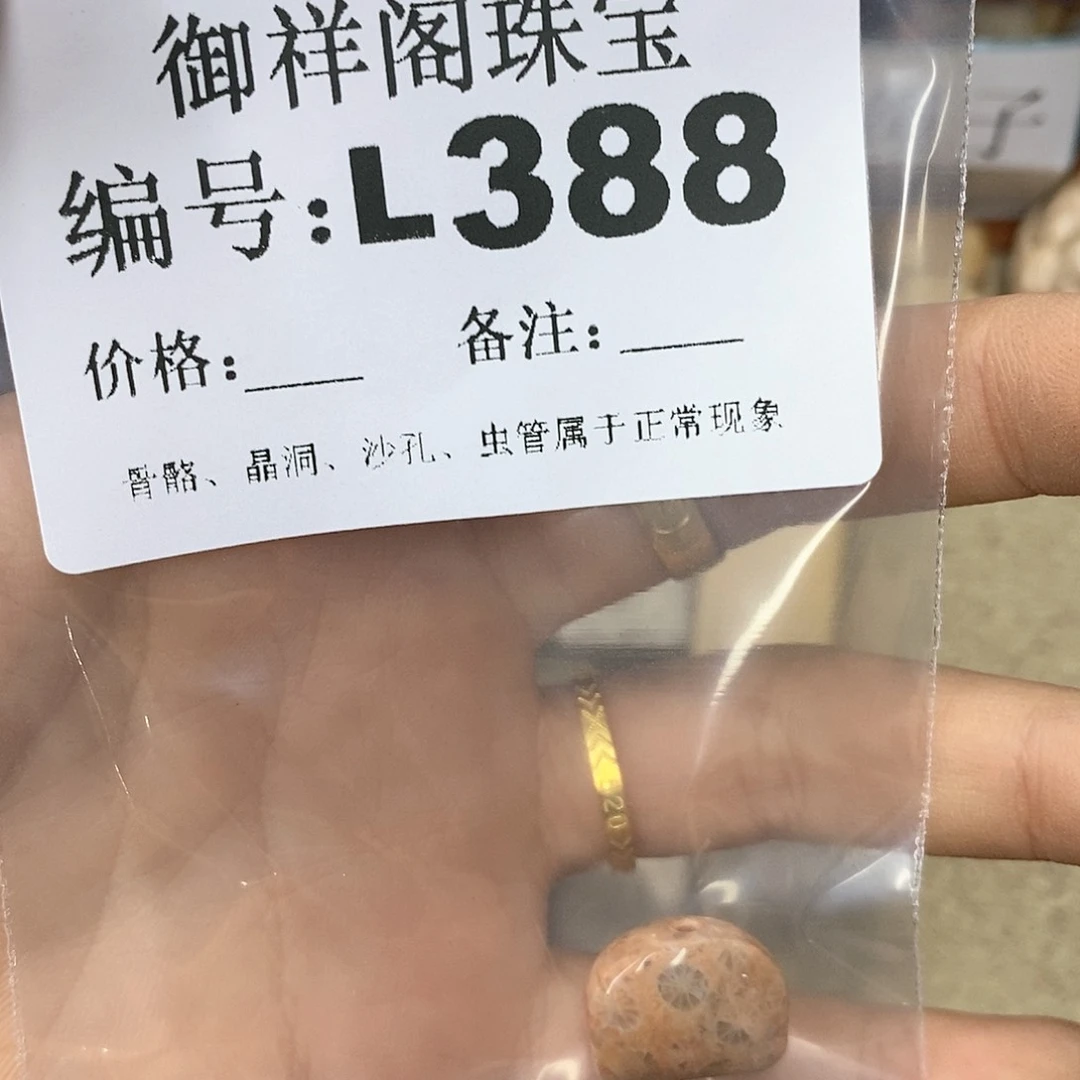 硅化珊瑚（珊瑚玉）n未镶嵌阿*