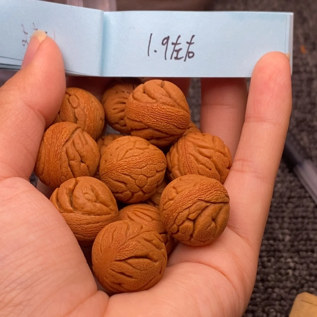 秦岭山脉龙纹桃核