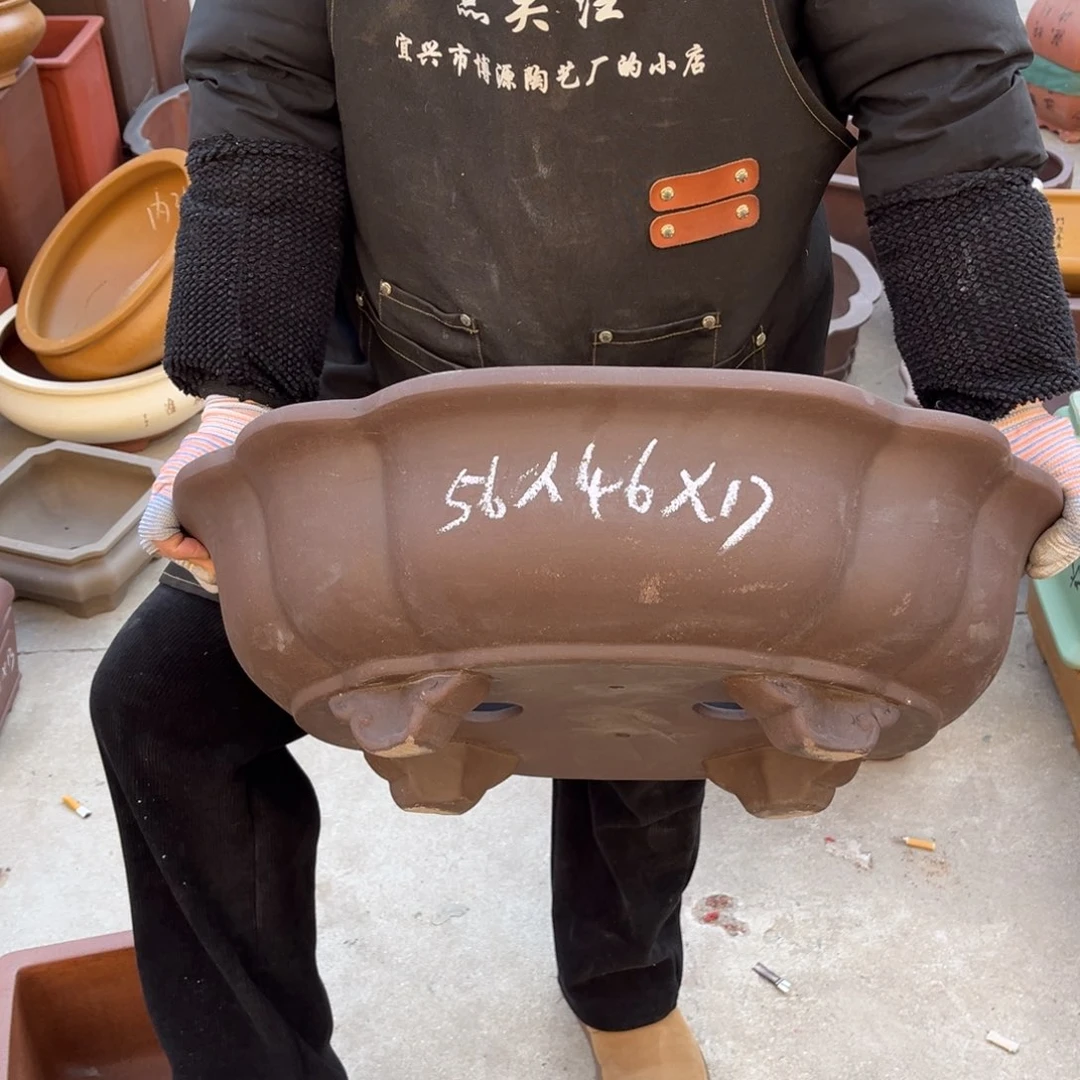 紫砂花盆盆景艺术