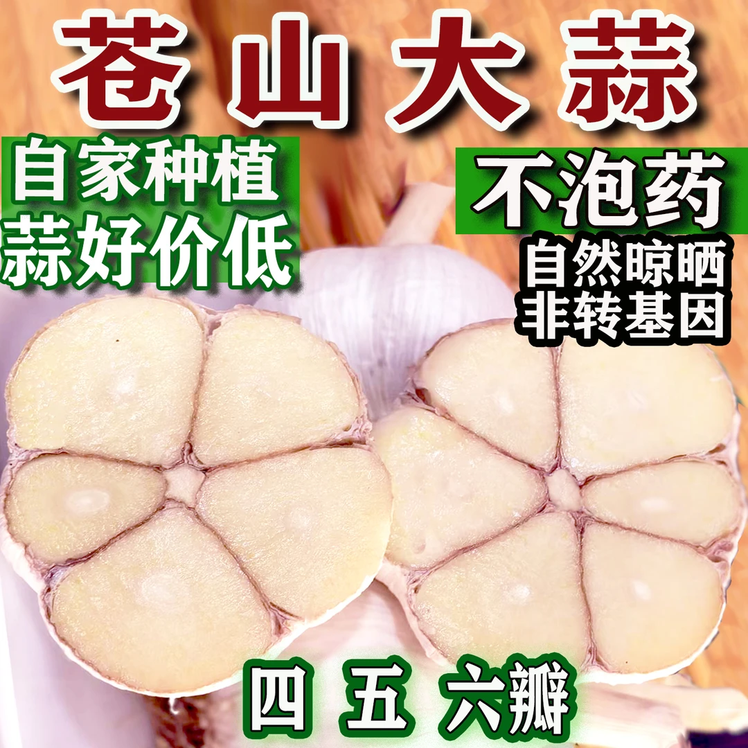 正宗四六瓣苍山大蒜山东沂蒙山呼吸蒜兰陵大蒜苍山大蒜头46瓣笨蒜