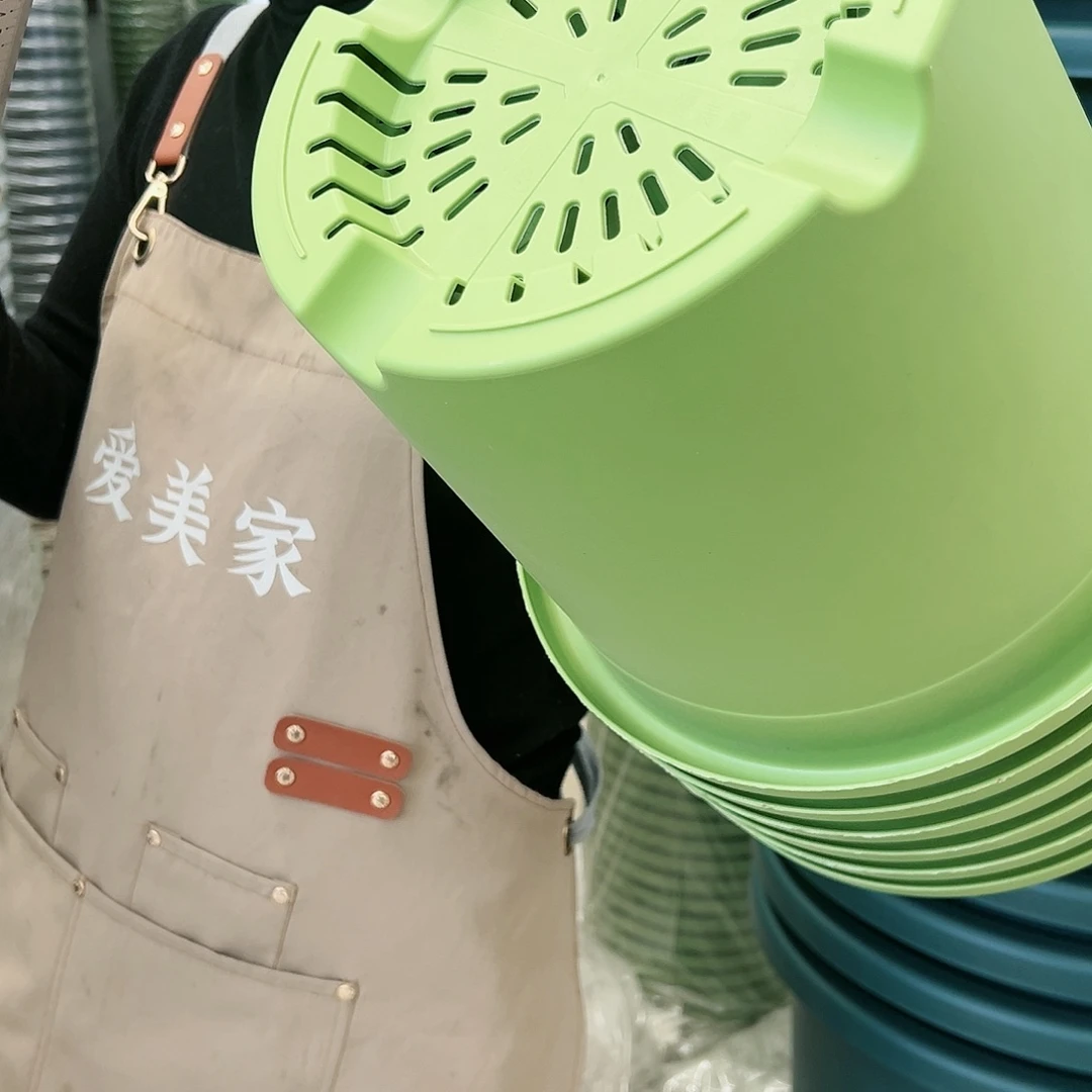 四季盆5#果绿色6个无托