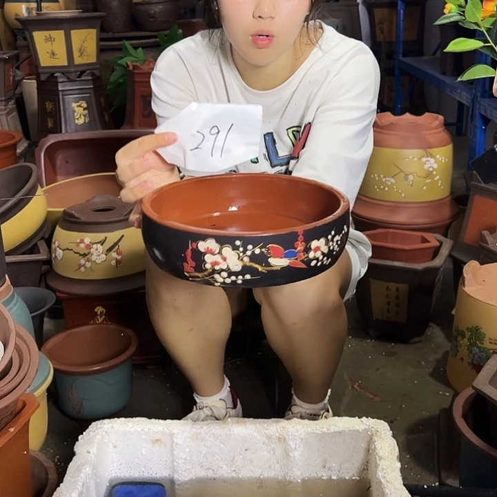 A291花盆花盆花盆花盆