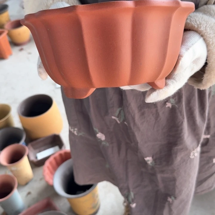 紫砂25*12a a a a a a a a a