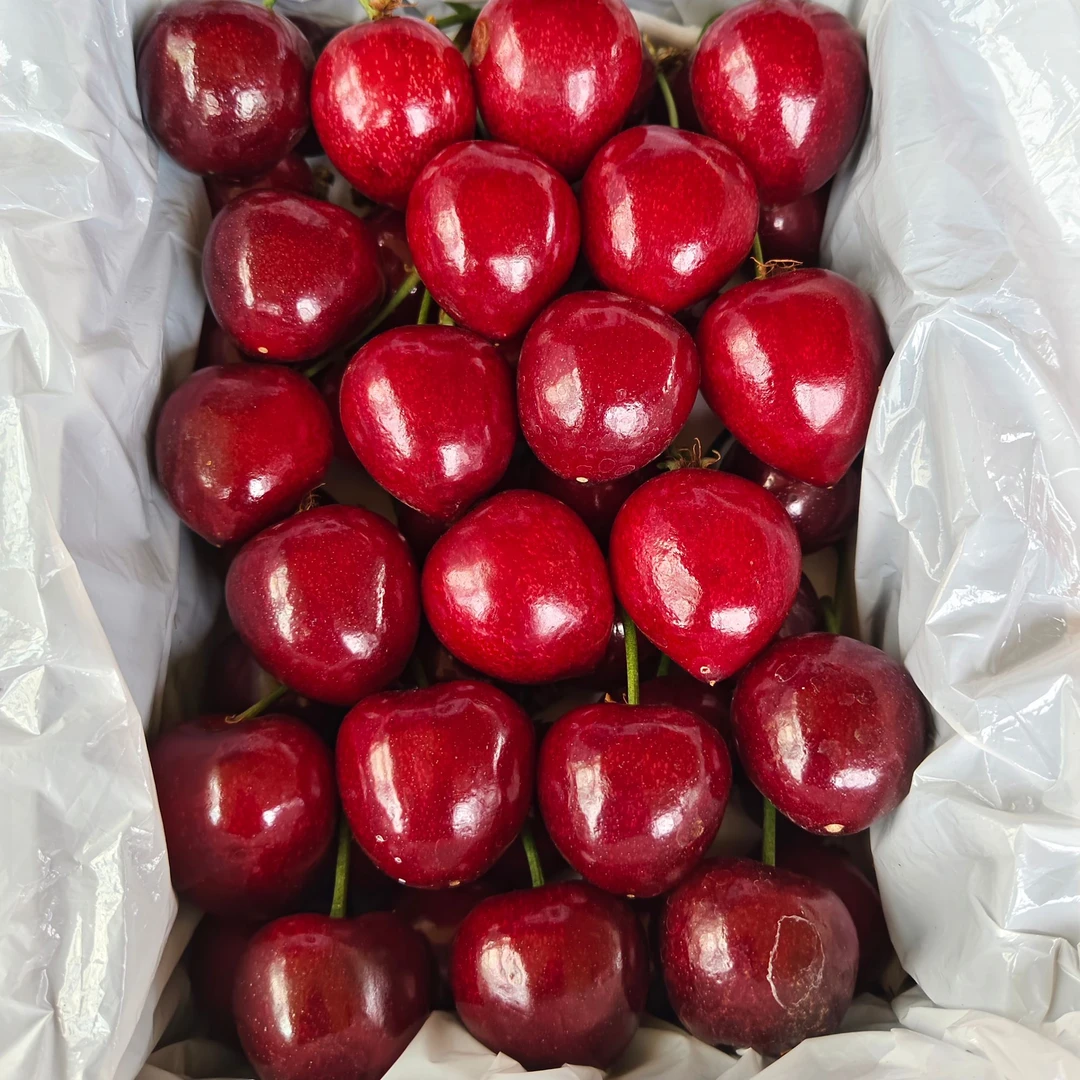 美早大樱桃，456J，净重1.8斤新鲜水果美早樱桃