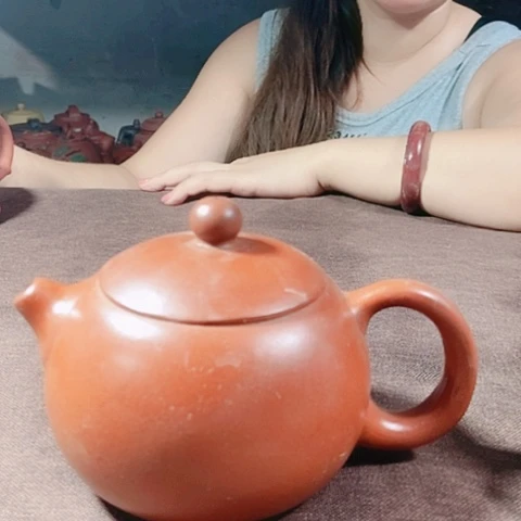茶壶紫砂宜兴紫砂壶手工制作
