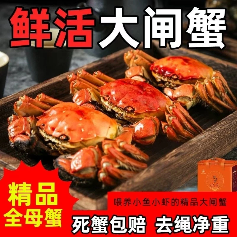 【活蟹】江苏大闸蟹3.1-2.7两母6只+公4只共10只顺丰包邮鲜活到
