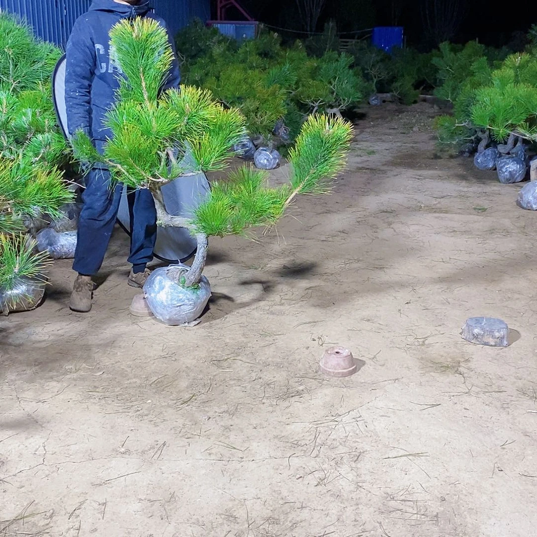 人***过完全开放11111111111111