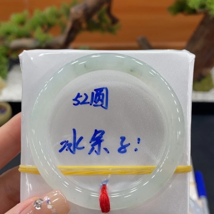 未镶嵌手镯（圆镯）翡翠天然缅甸翡翠A货手镯 66