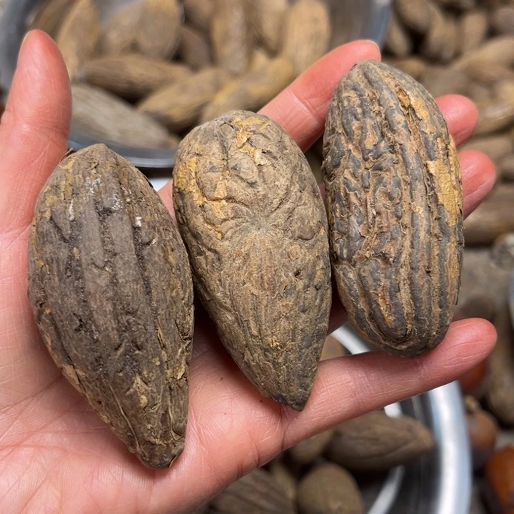 千眼菩提吊坠千眼菩提 131。