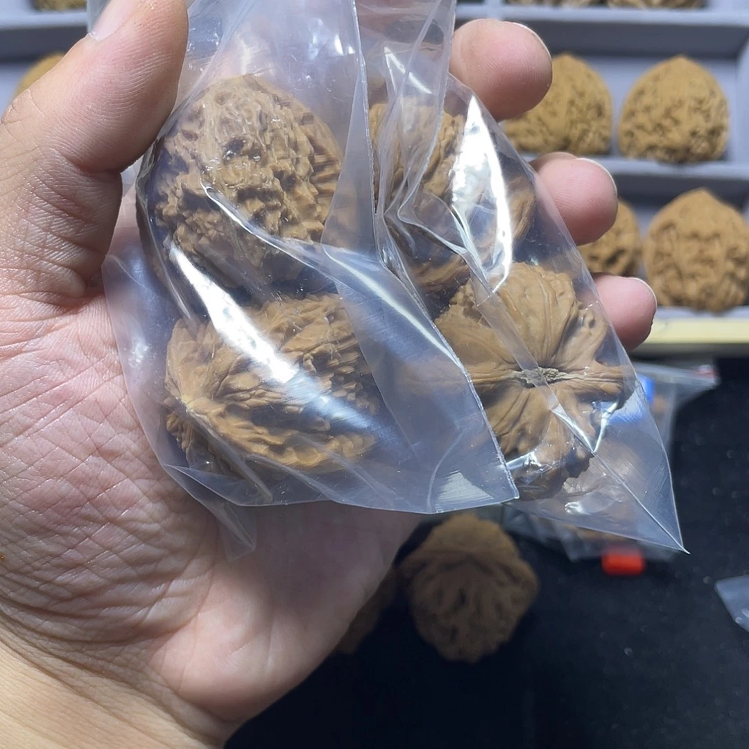 核桃5对瑕疵白狮子