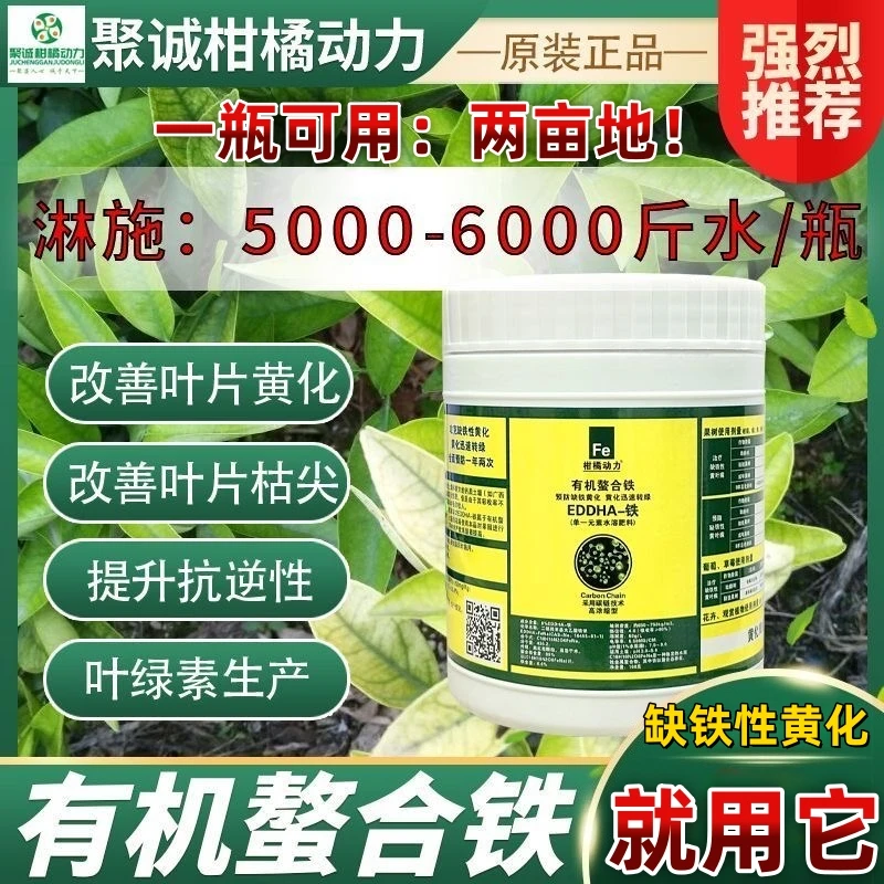 柑橘动力EDDHA有机螯合铁高浓缩型缺铁性黄化转绿微量元素