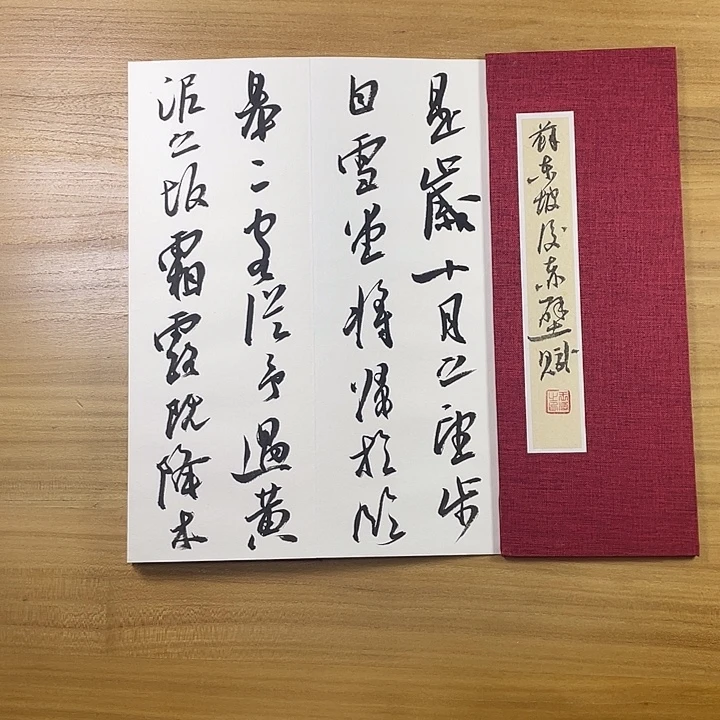 书法中书协老师作品王涛