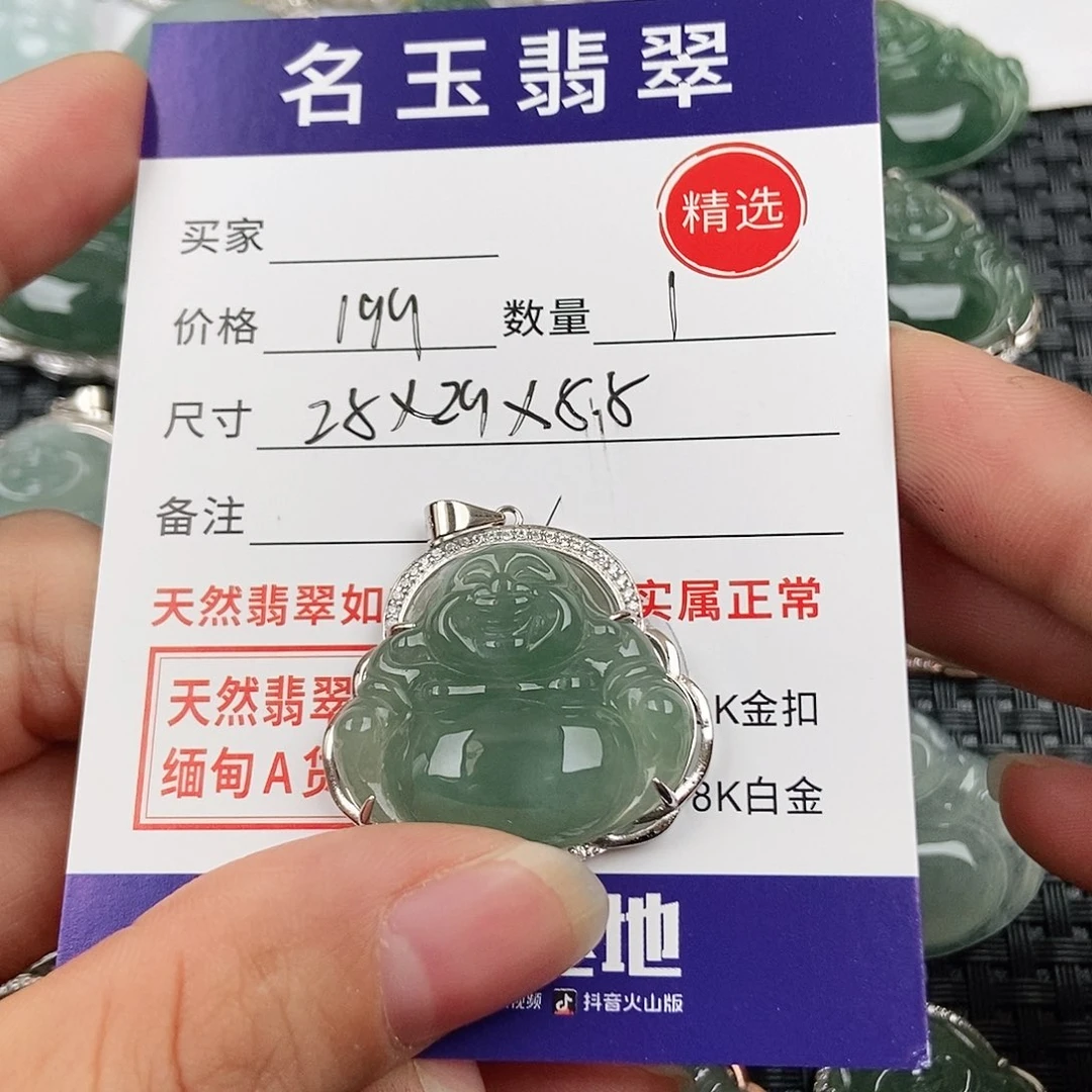 翡翠银S925镶嵌颈饰