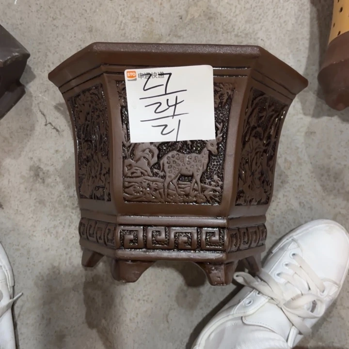 花盆紫砂紫砂的花