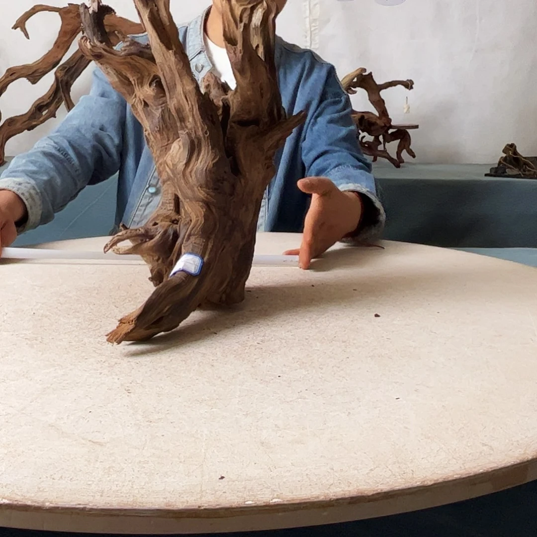 沉木造景爬宠造景