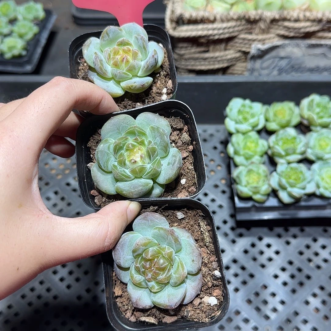 124哈哈哈哈哈哈哈哈haha