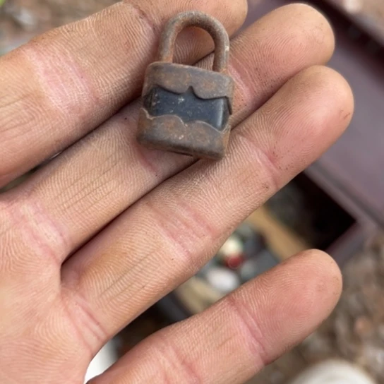 辽***河核桃木/黑胡桃（胡桃木）