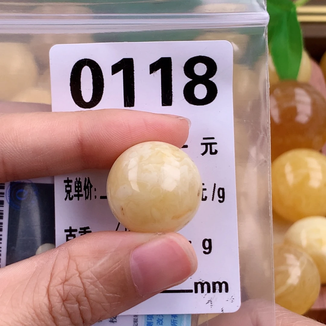 琥珀未镶嵌珠宝奇石19.8 植物