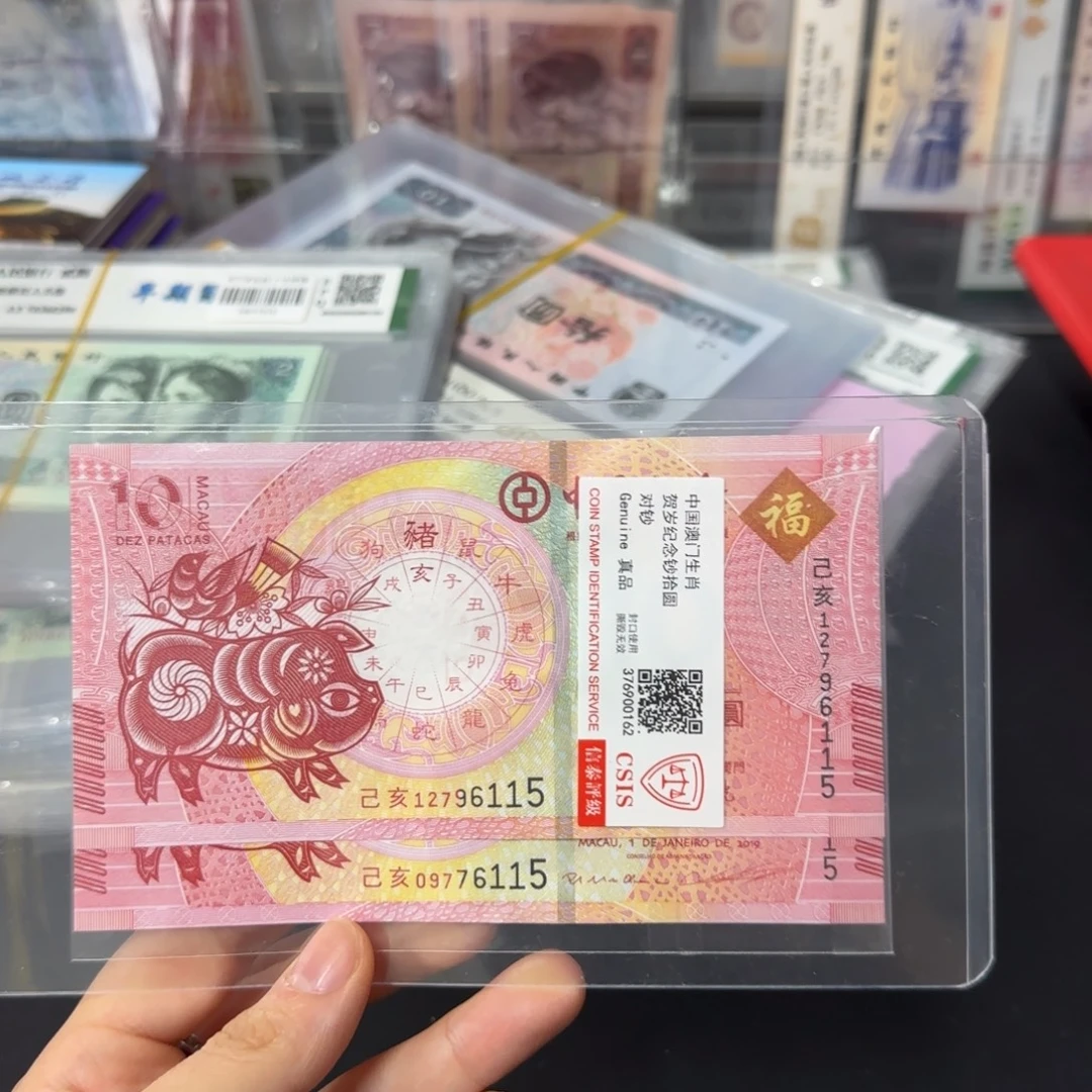 纸生肖猪纪念对钞