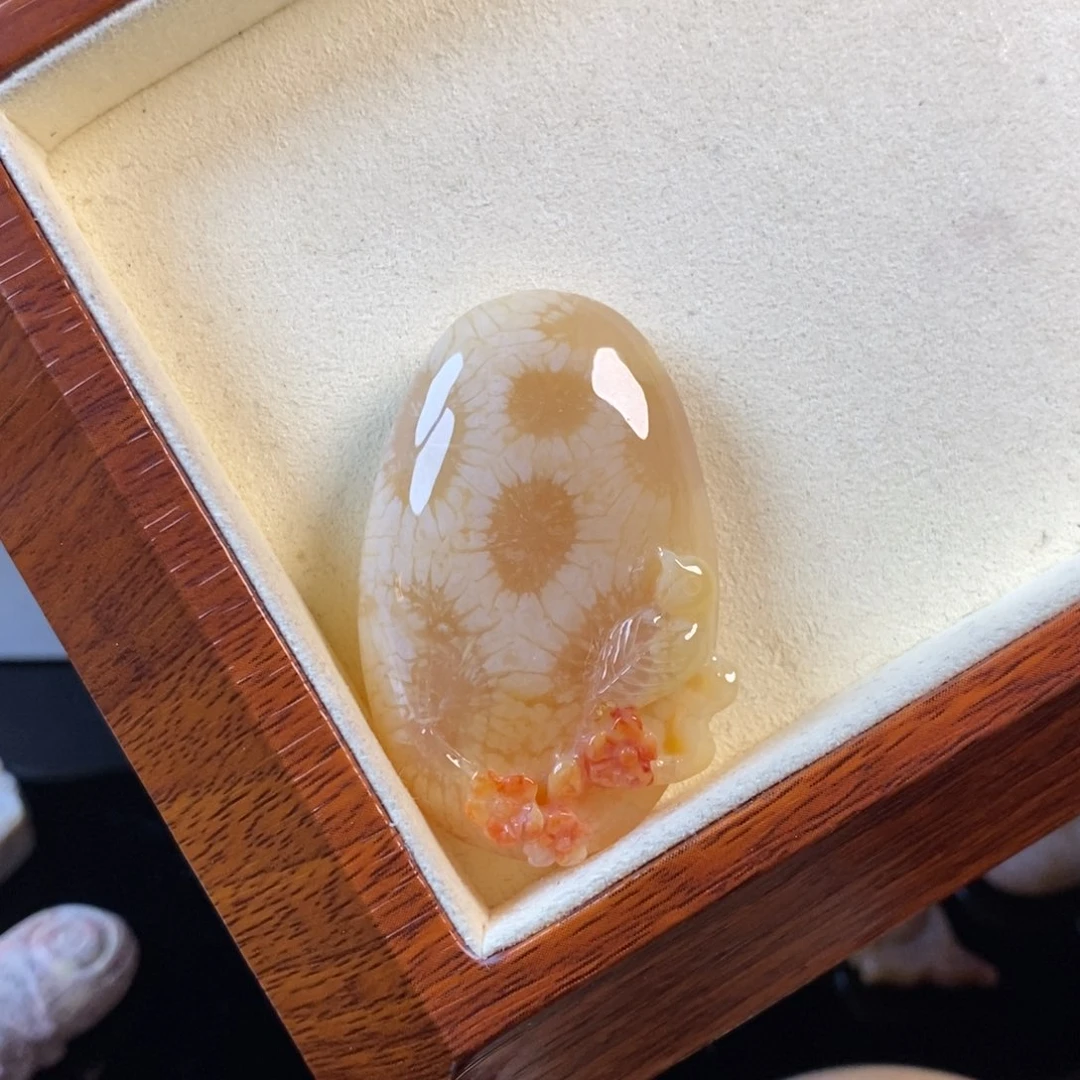 硅化珊瑚（珊瑚玉）未镶嵌颈饰800