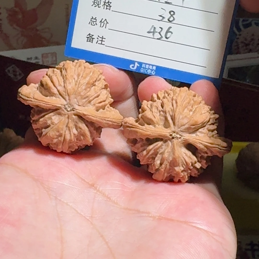 酋***长原树朱雀全品编号129