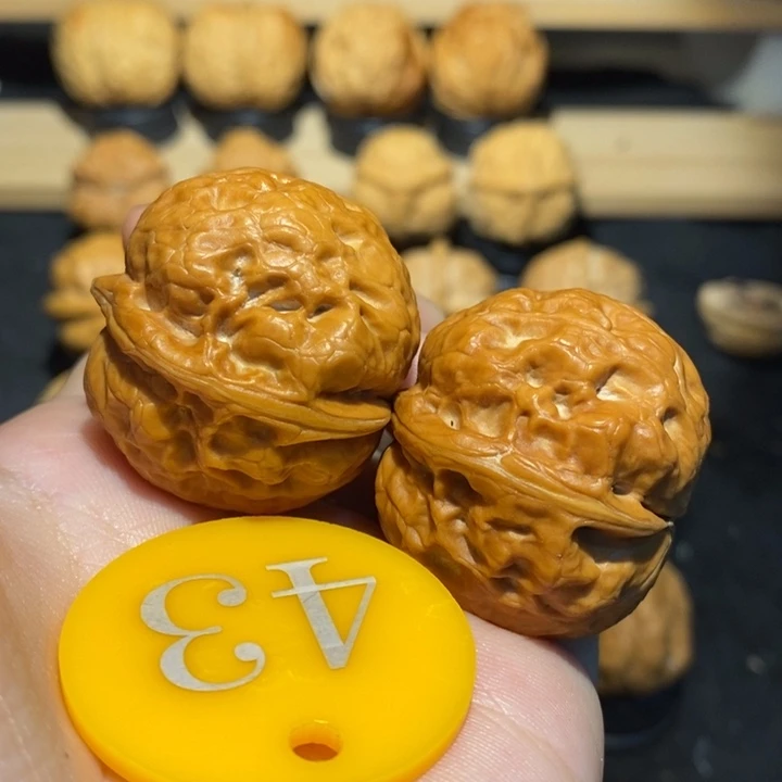 核桃玉兔金蟾35尺寸