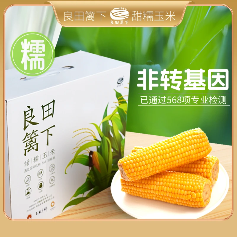 【良田篱下】甜糯玉米东北黄糯真空包装非转基因低脂玉米粗粮鲜食