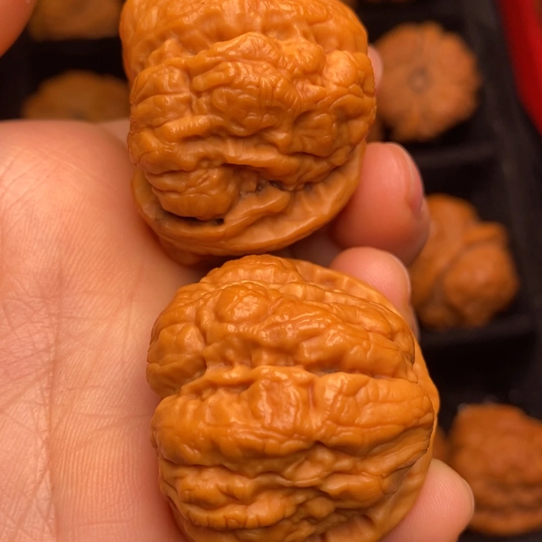 文玩核桃把件秦岭野生核桃