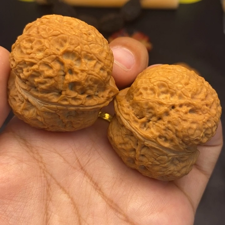 文玩核桃把件42尺金蟒肥蟾