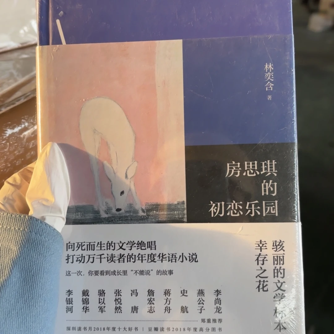 房思琪的初恋乐园 闪购12