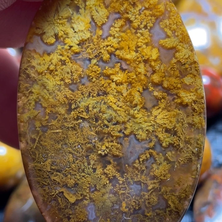 敬***业玛瑙/玉髓未镶嵌颈饰