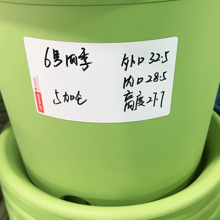 特价6号口32.5高27果绿5只带托