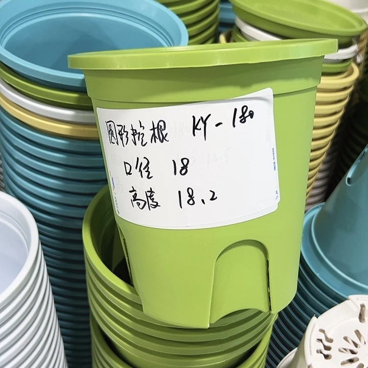 正品圆控口18高18果绿无托8只