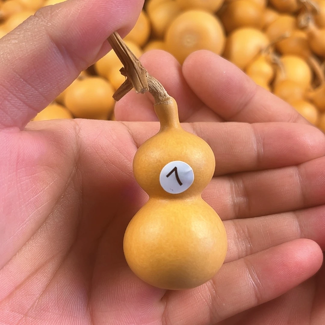 一葫芦葫芦葫芦葫芦葫芦7