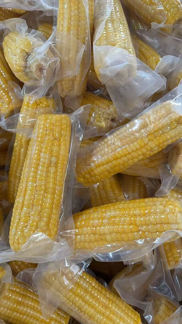 5斤装东北延边新黄糯玉米鲜食玉米8至10穗（试吃2穗）