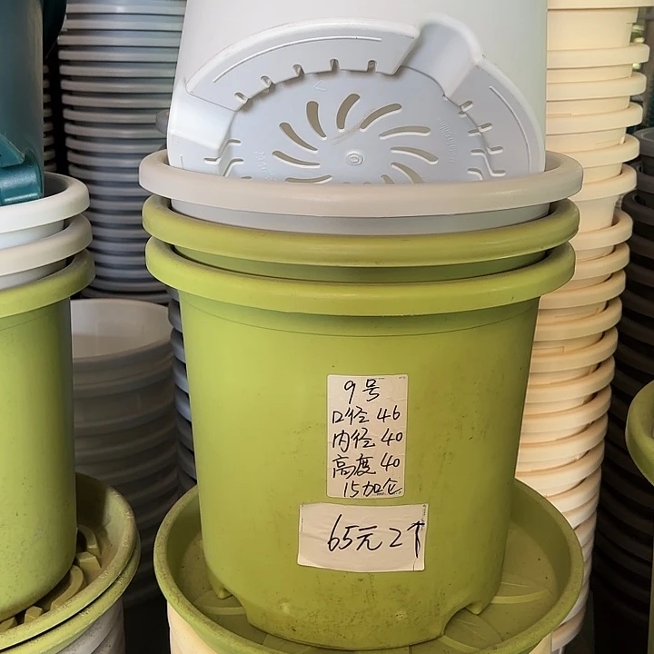 微瑕9#口径46无托果绿3个