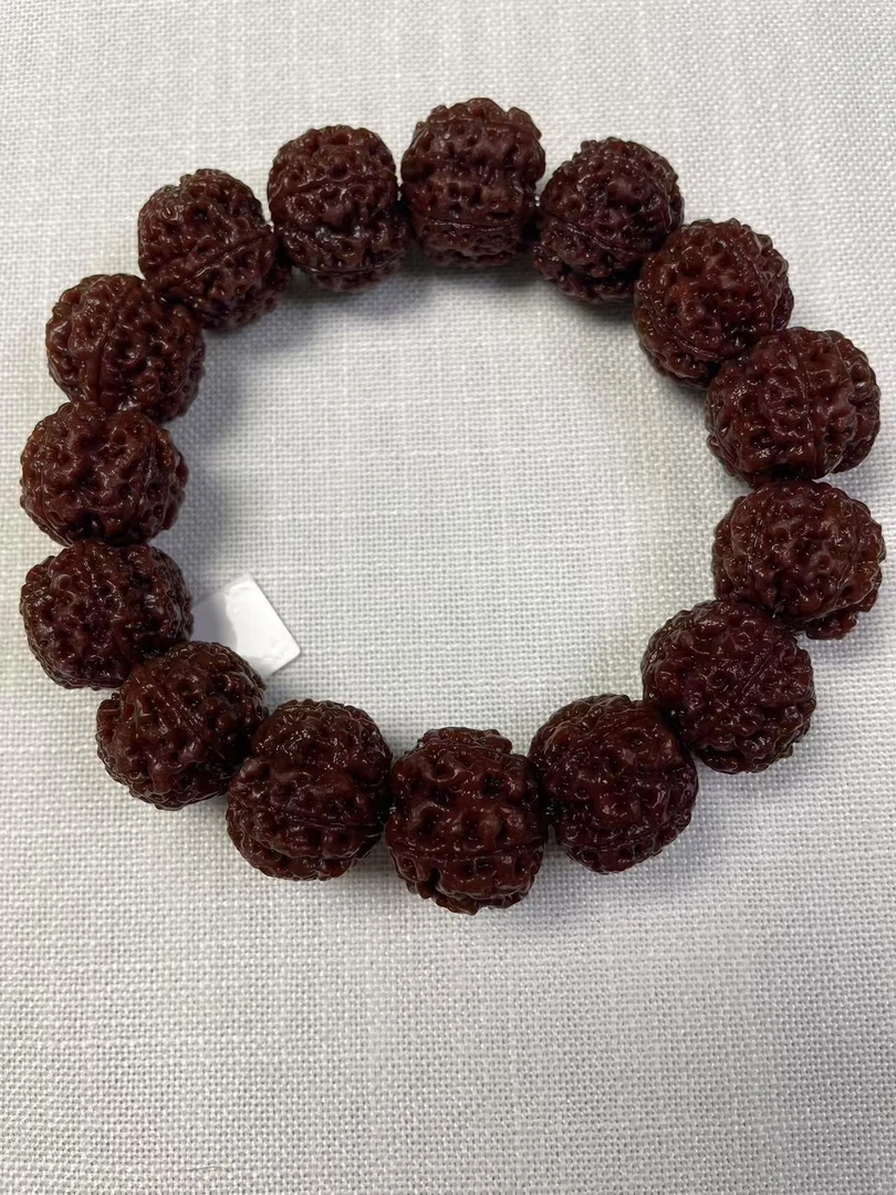 【春辉菩提】大爆肉双龙特价款