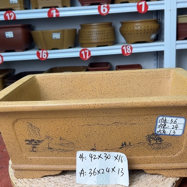 紫砂花盆蛇年大吉