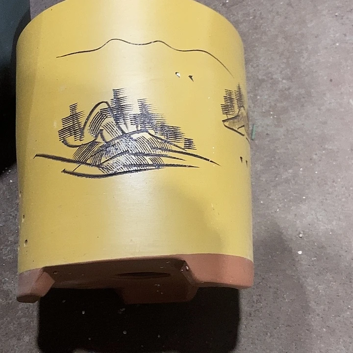 20花盆花盆花盆花盆花盆花盆