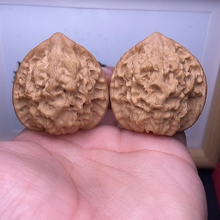 核桃全品小尺官帽