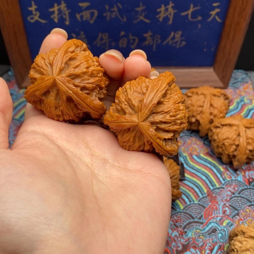 【闪购商品】砥**行白狮