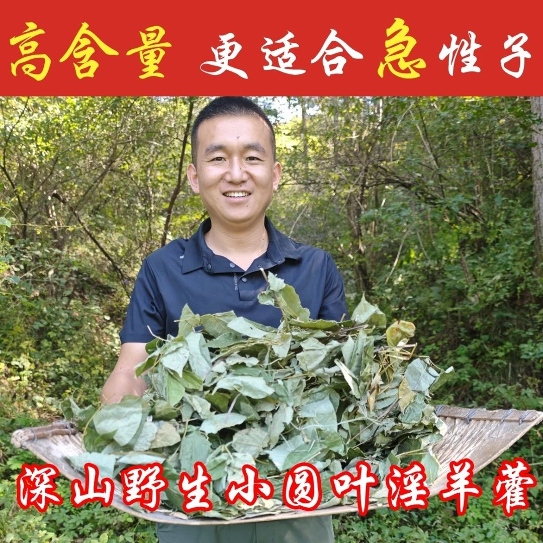 探寻大山里的珍品三支九叶草羊霍叶子