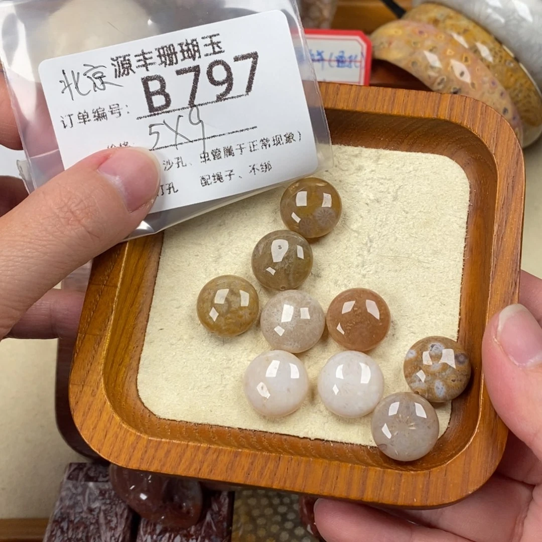 老***翅硅化玉未镶嵌颈饰