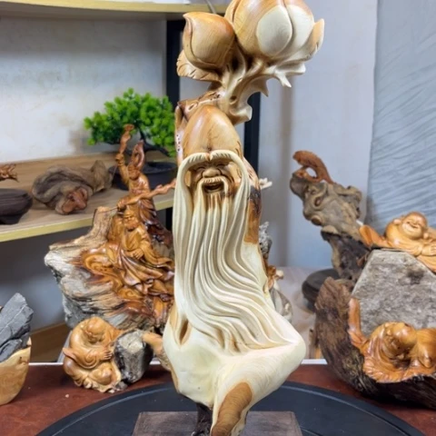 柏木（崖柏）v v bv v bv b n n