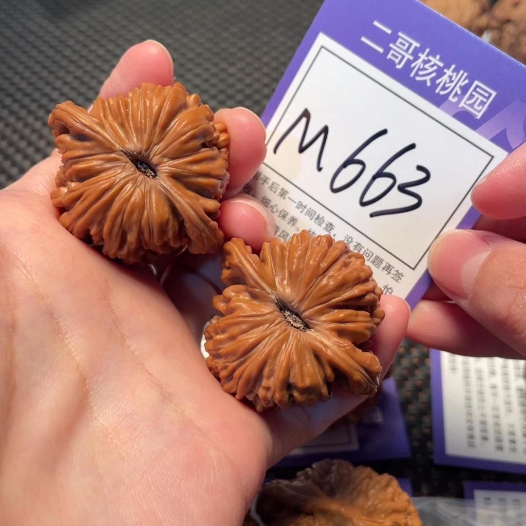 文玩核桃把件M663号四座楼41