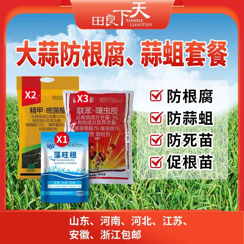 大蒜防根腐 蒜蛆套餐  防根腐、防蒜蛆、防死苗、促根苗
