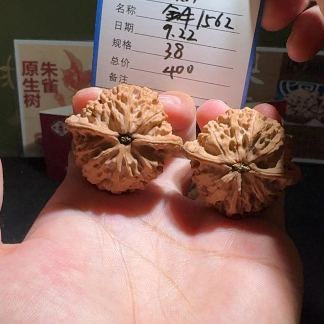 ****️金牛编号1562精品