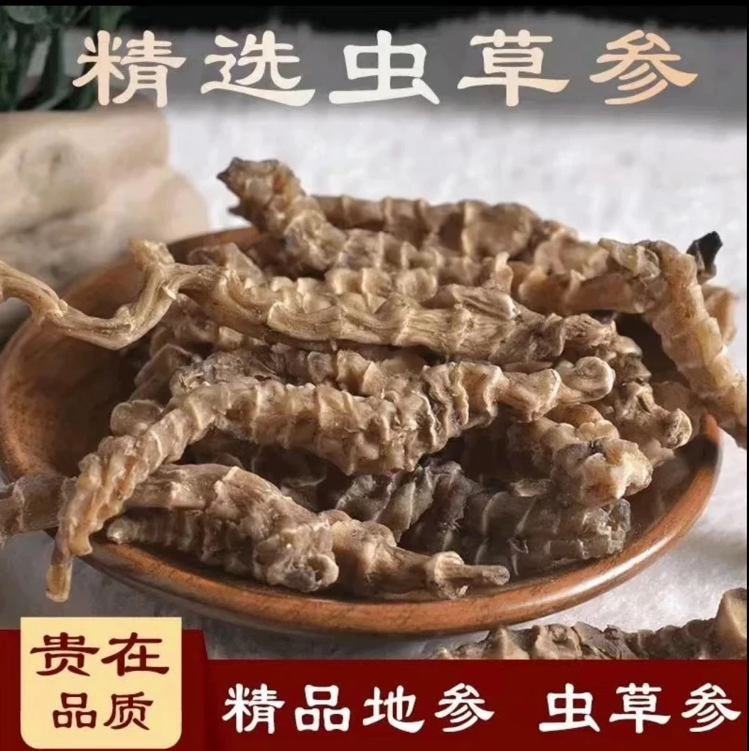 老蘇家【个大饱满】正宗云南虫草参正品竹节参煲汤泡水好材料